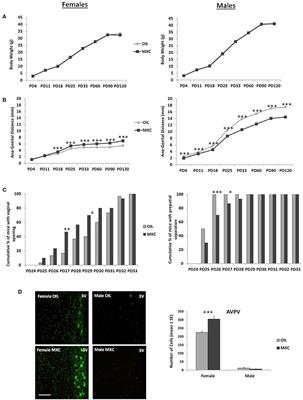 Perinatal Exposure to Methoxychlor Affects Reproductive Function and Sexual Behavior in Mice